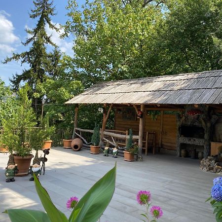 Anano'S Guesthouse Боржоми Экстерьер фото