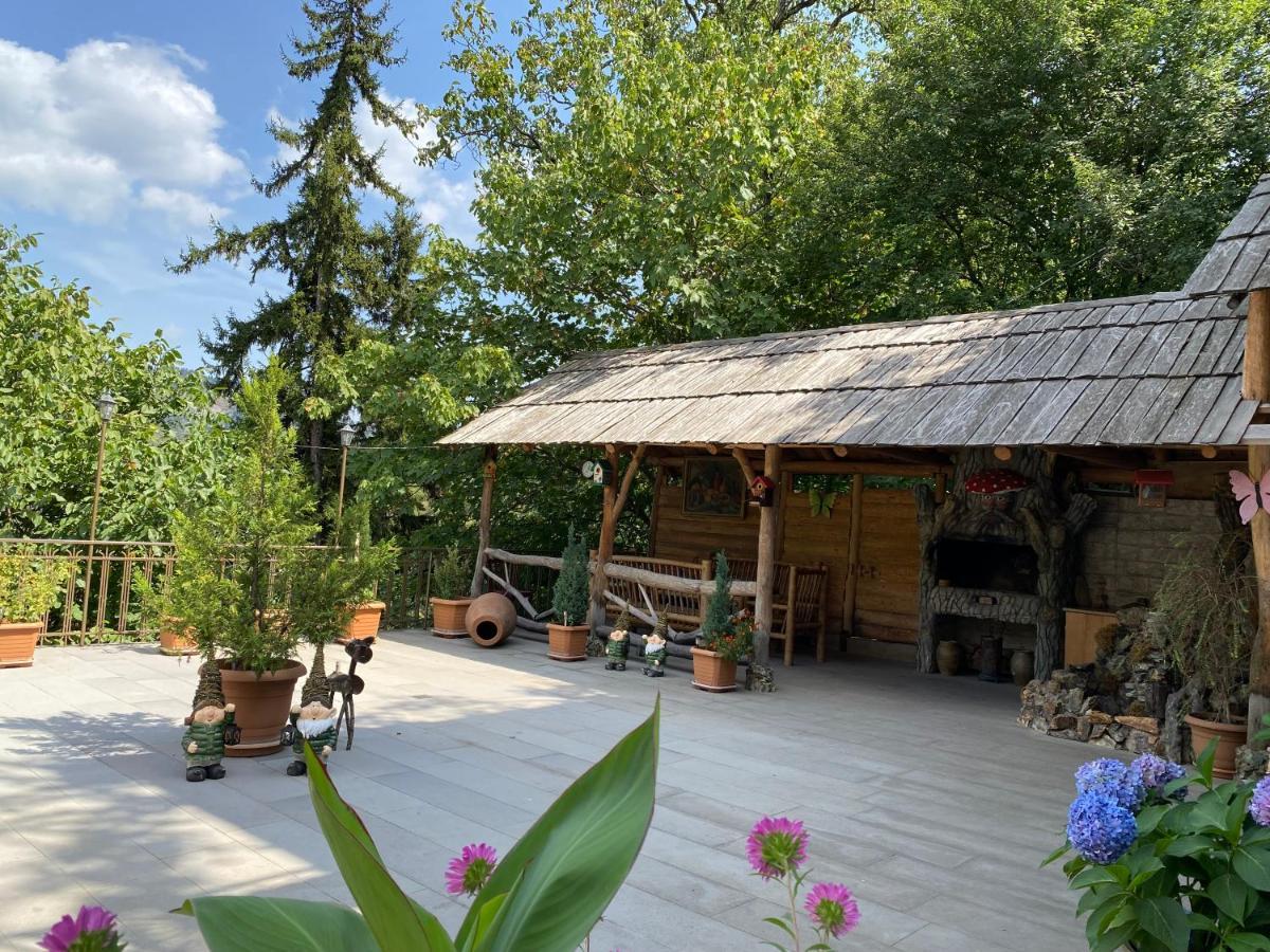 Anano'S Guesthouse Боржоми Экстерьер фото