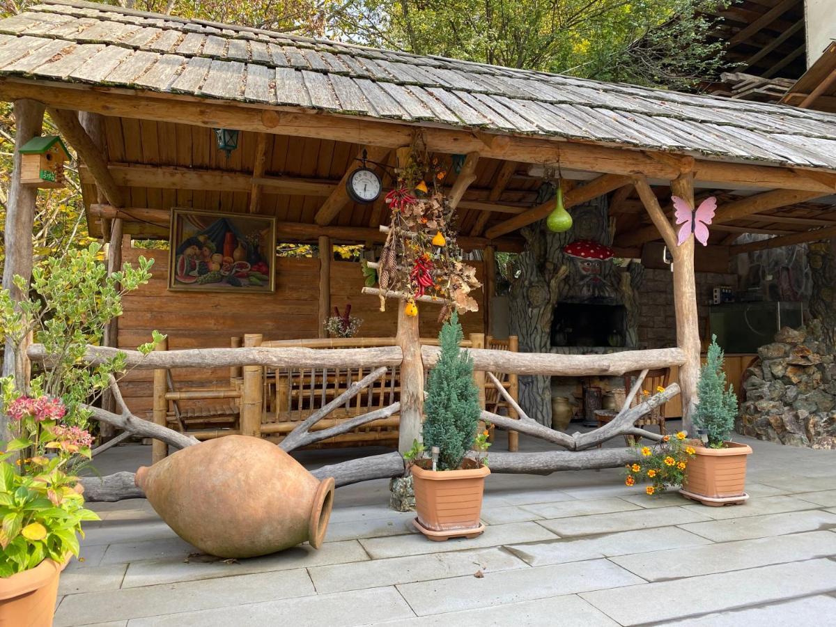 Anano'S Guesthouse Боржоми Экстерьер фото