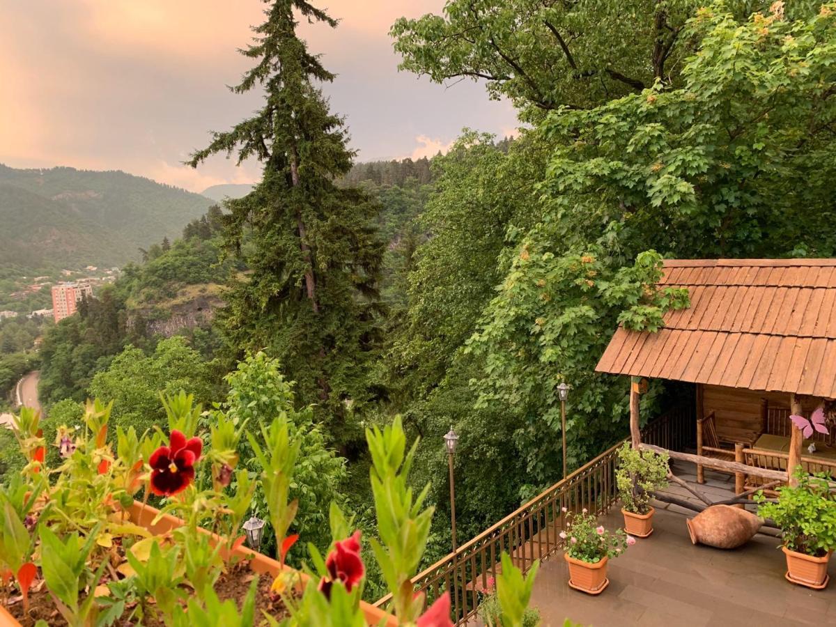 Anano'S Guesthouse Боржоми Экстерьер фото