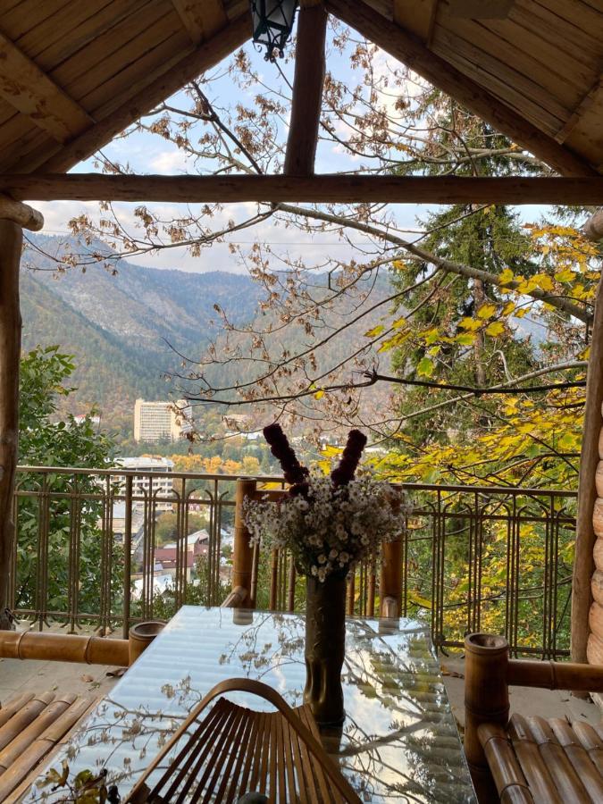 Anano'S Guesthouse Боржоми Экстерьер фото