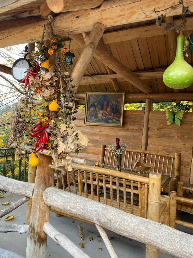 Anano'S Guesthouse Боржоми Экстерьер фото