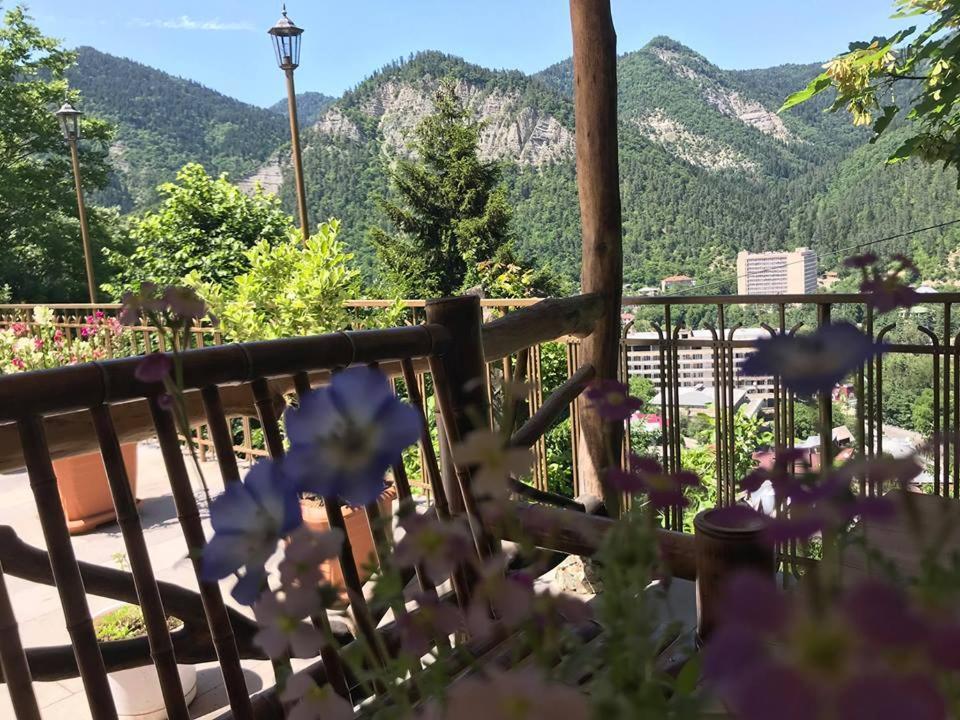 Anano'S Guesthouse Боржоми Экстерьер фото