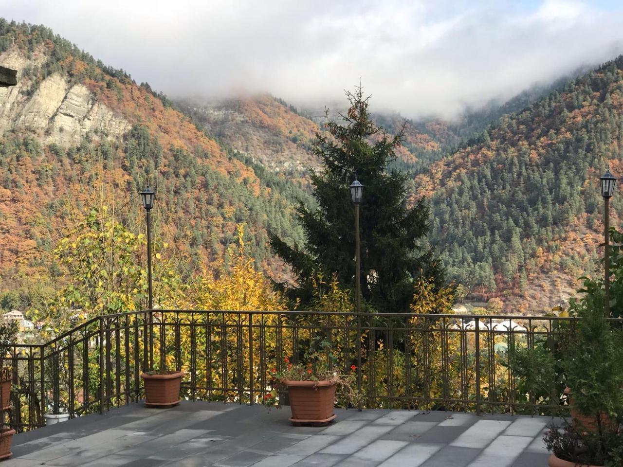 Anano'S Guesthouse Боржоми Экстерьер фото