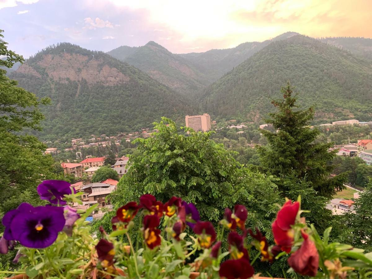 Anano'S Guesthouse Боржоми Экстерьер фото